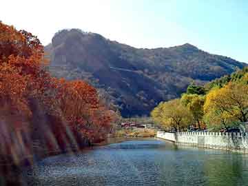 大三巴一肖二码最准，芦山网站建设